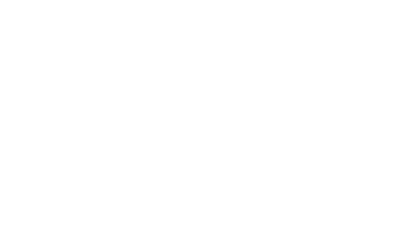 High Bridge co.ltd